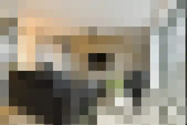 Wilhelminastraat 83 Bergschenhoek thumbnail 10