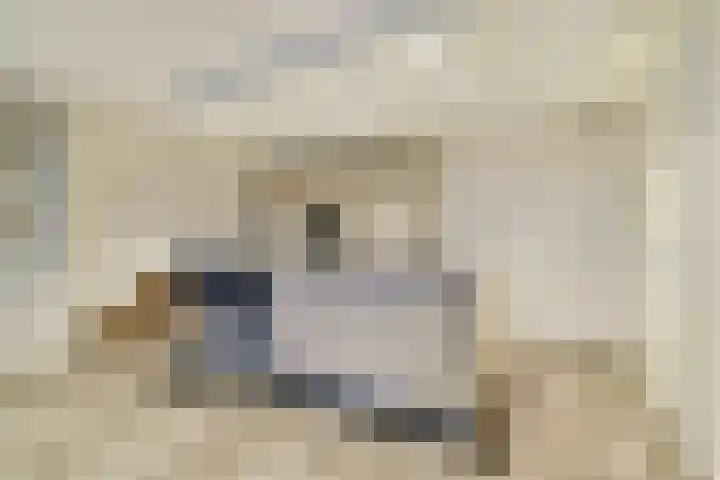 Wilhelminastraat 83 Bergschenhoek thumbnail 14