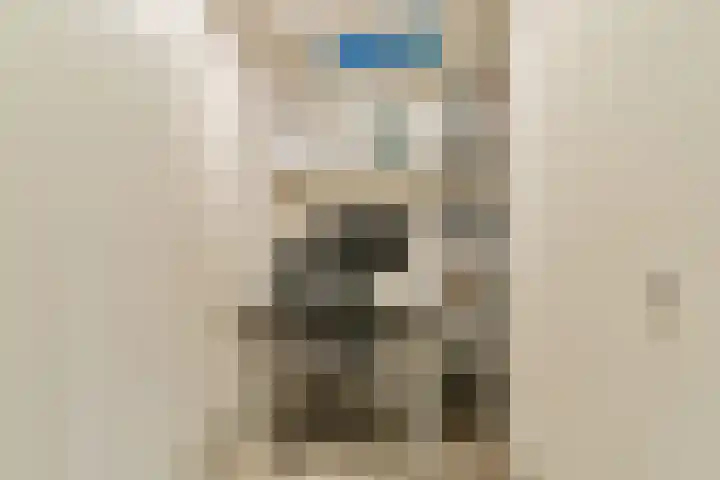 Wilhelminastraat 83 Bergschenhoek thumbnail 18