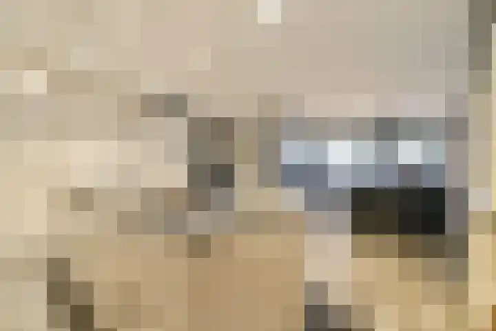 Wilhelminastraat 83 Bergschenhoek thumbnail 19