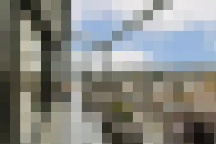 Wilhelminastraat 83 Bergschenhoek thumbnail 20