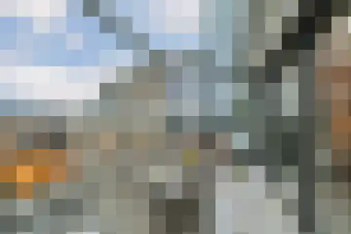 Wilhelminastraat 83 Bergschenhoek thumbnail 23