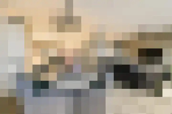 Wilhelminastraat 83 Bergschenhoek thumbnail 24