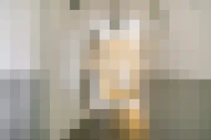 Wilhelminastraat 83 Bergschenhoek thumbnail 25
