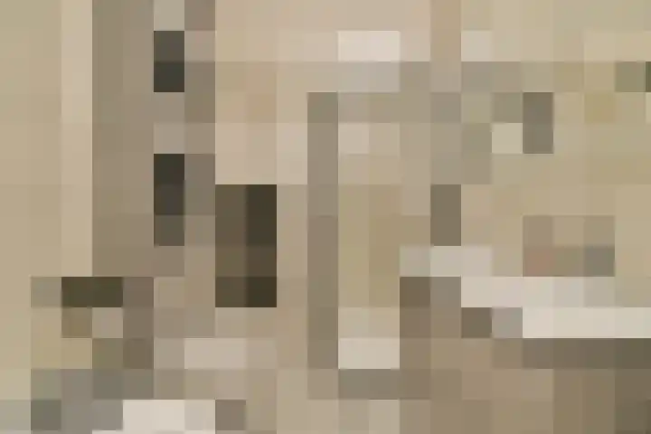 Wilhelminastraat 83 Bergschenhoek thumbnail 32