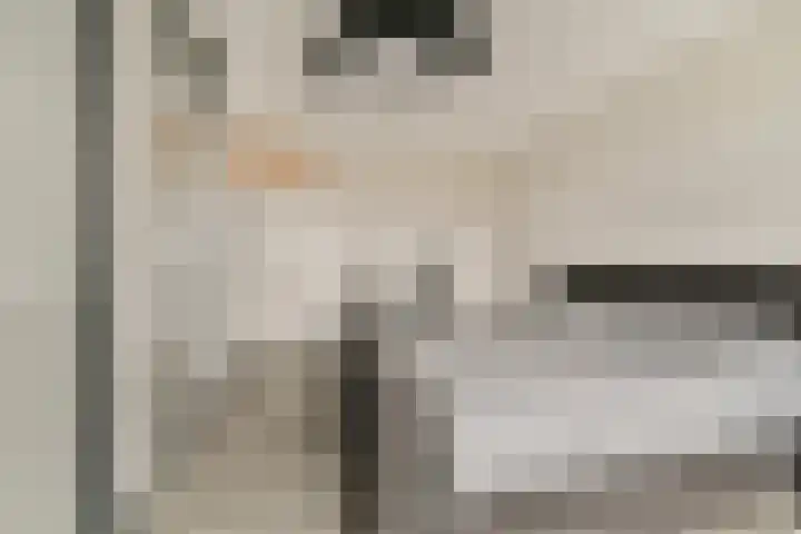 Wilhelminastraat 83 Bergschenhoek thumbnail 34