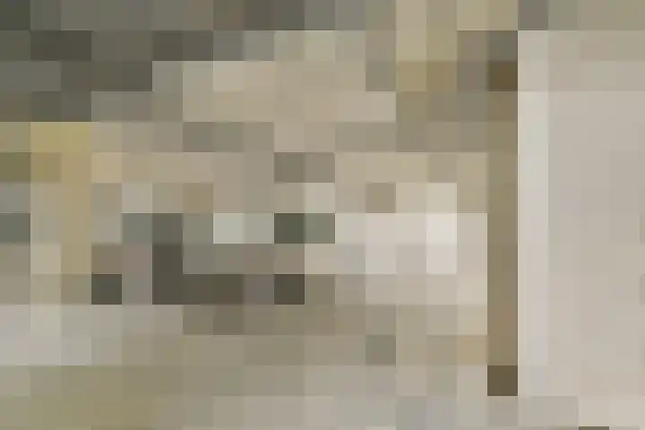 Wilhelminastraat 83 Bergschenhoek thumbnail 36