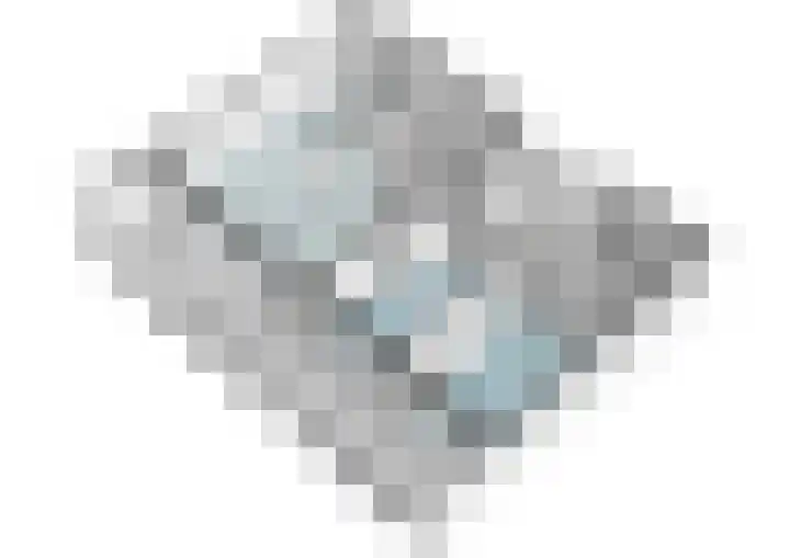 Wilhelminastraat 83 Bergschenhoek thumbnail 39