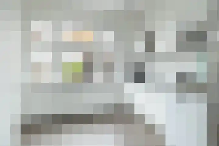 Wilhelminastraat 84 Meppel thumbnail 18