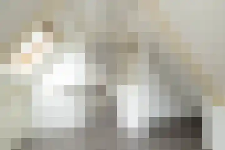 Wilhelminastraat 84 Meppel thumbnail 32