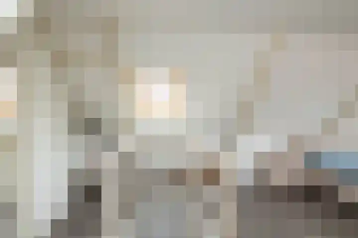 Wilhelminastraat 84 Meppel thumbnail 34