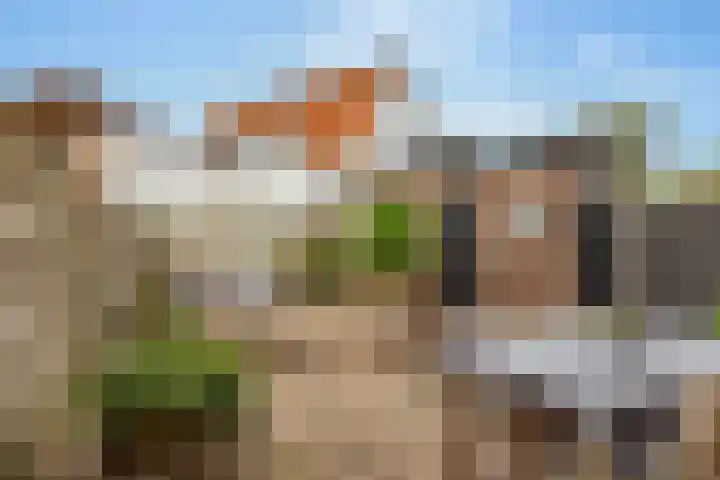 Wilhelminastraat 84 Meppel thumbnail 36