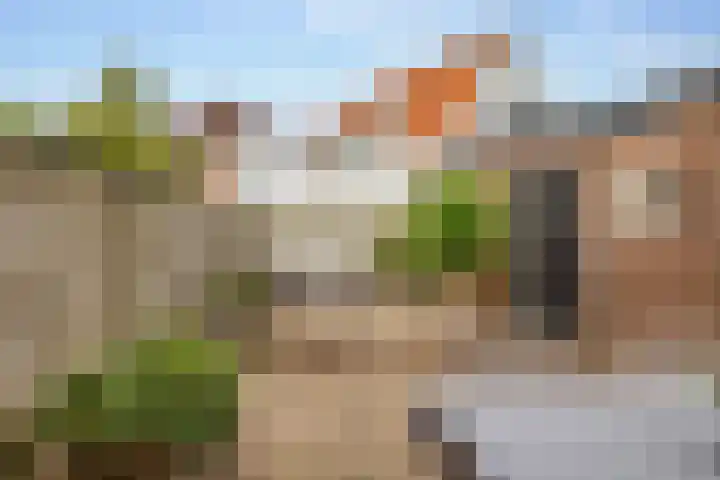 Wilhelminastraat 84 Meppel thumbnail 37