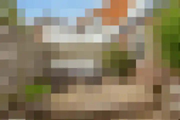 Wilhelminastraat 84 Meppel thumbnail 38