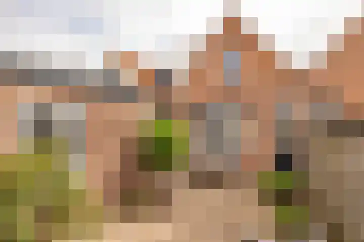 Wilhelminastraat 84 Meppel thumbnail 39