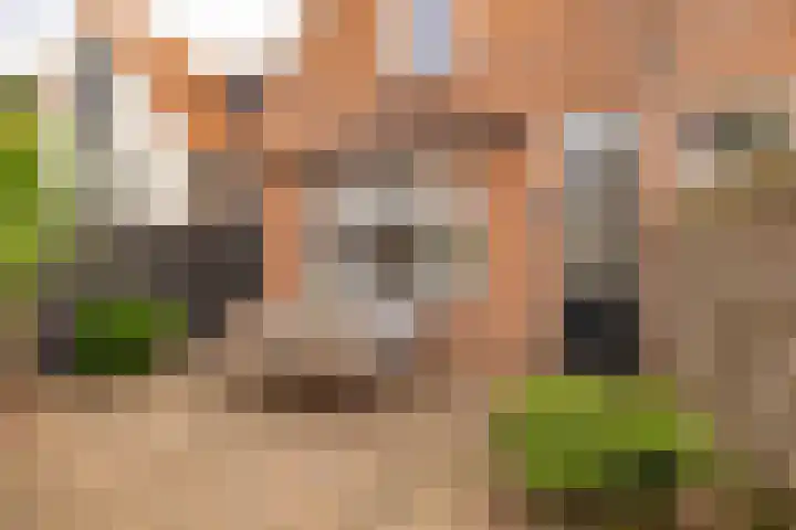 Wilhelminastraat 84 Meppel thumbnail 40