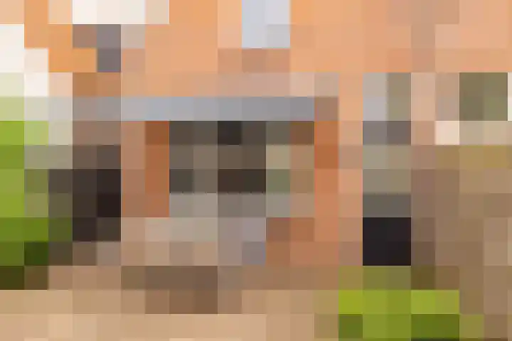Wilhelminastraat 84 Meppel thumbnail 41