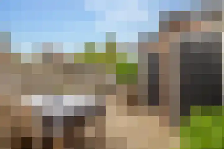 Wilhelminastraat 84 Meppel thumbnail 42