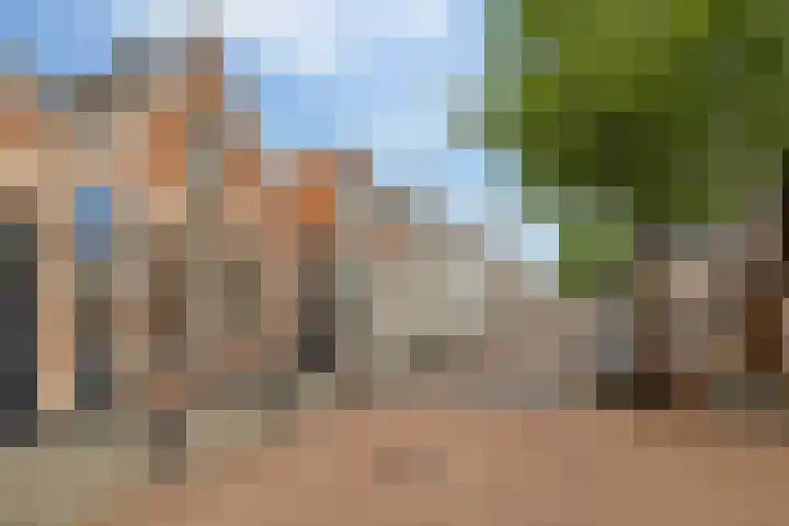 Wilhelminastraat 84 Meppel thumbnail 48