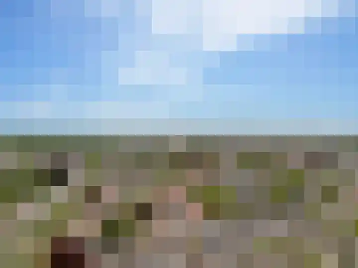 Wilhelminastraat 84 Meppel thumbnail 51