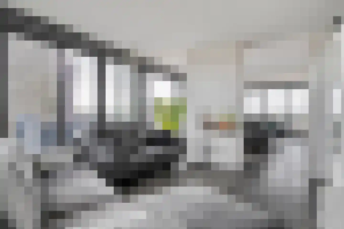 Wilhelminastraat 85 Bergschenhoek thumbnail 12