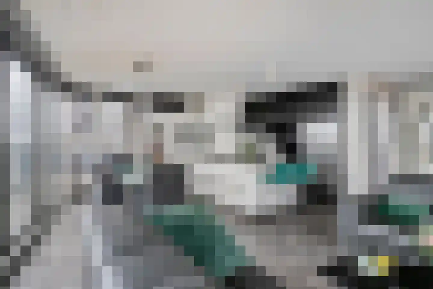 Wilhelminastraat 85 Bergschenhoek thumbnail 16