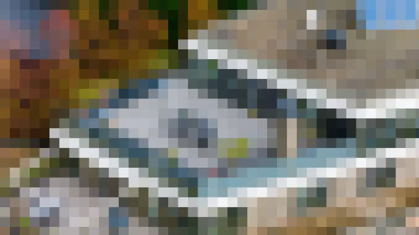 Wilhelminastraat 85 Bergschenhoek thumbnail 22
