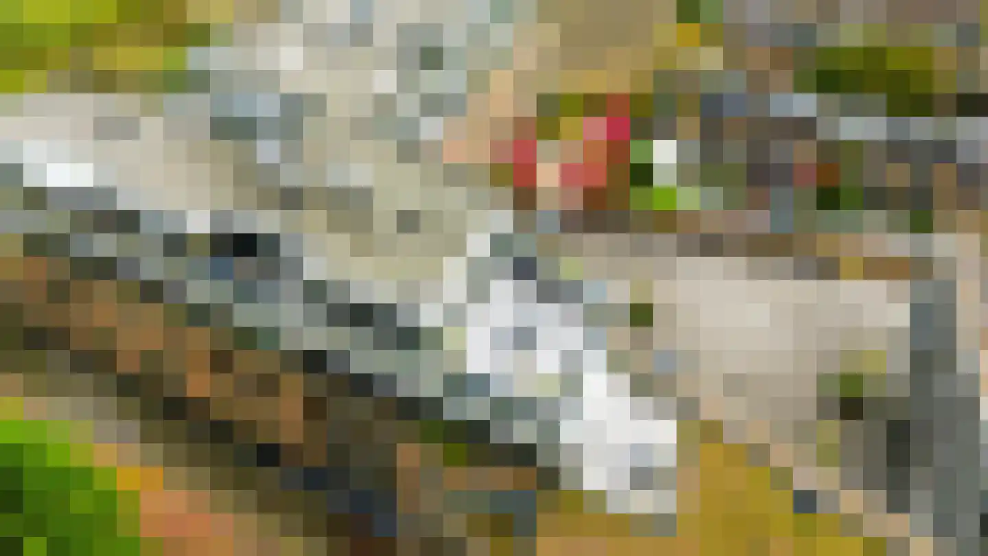 Wilhelminastraat 85 Bergschenhoek thumbnail 23