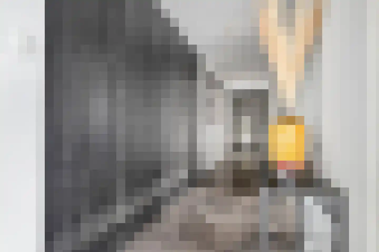 Wilhelminastraat 85 Bergschenhoek thumbnail 25