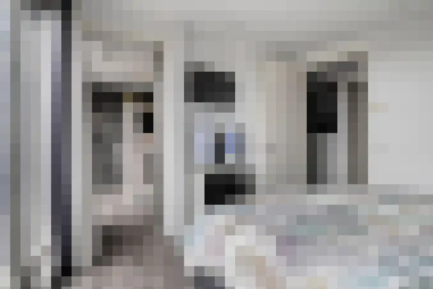 Wilhelminastraat 85 Bergschenhoek thumbnail 27