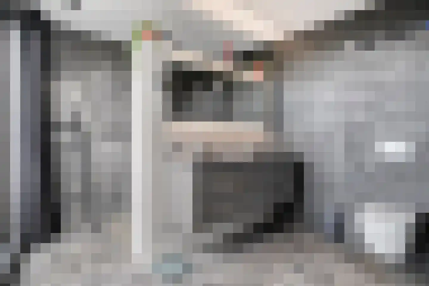 Wilhelminastraat 85 Bergschenhoek thumbnail 28
