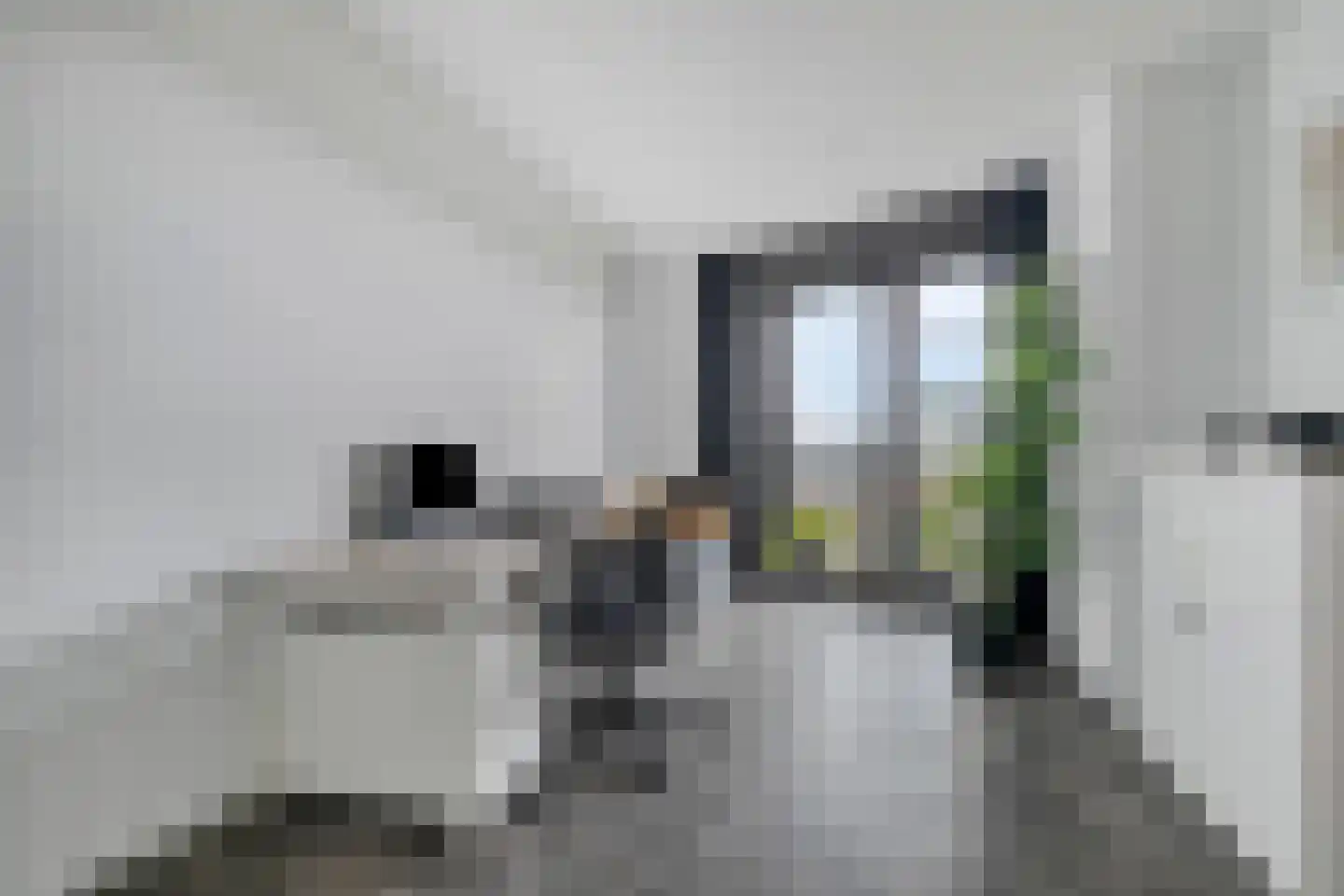 Wilhelminastraat 85 Bergschenhoek thumbnail 29