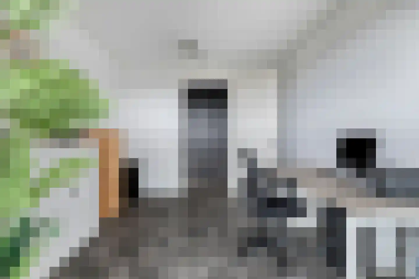 Wilhelminastraat 85 Bergschenhoek thumbnail 30