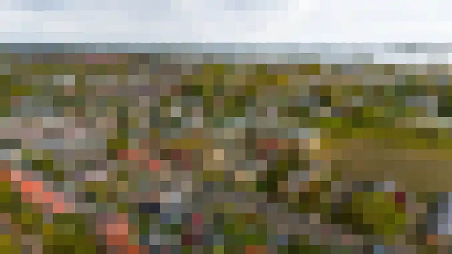 Wilhelminastraat 85 Bergschenhoek thumbnail 35