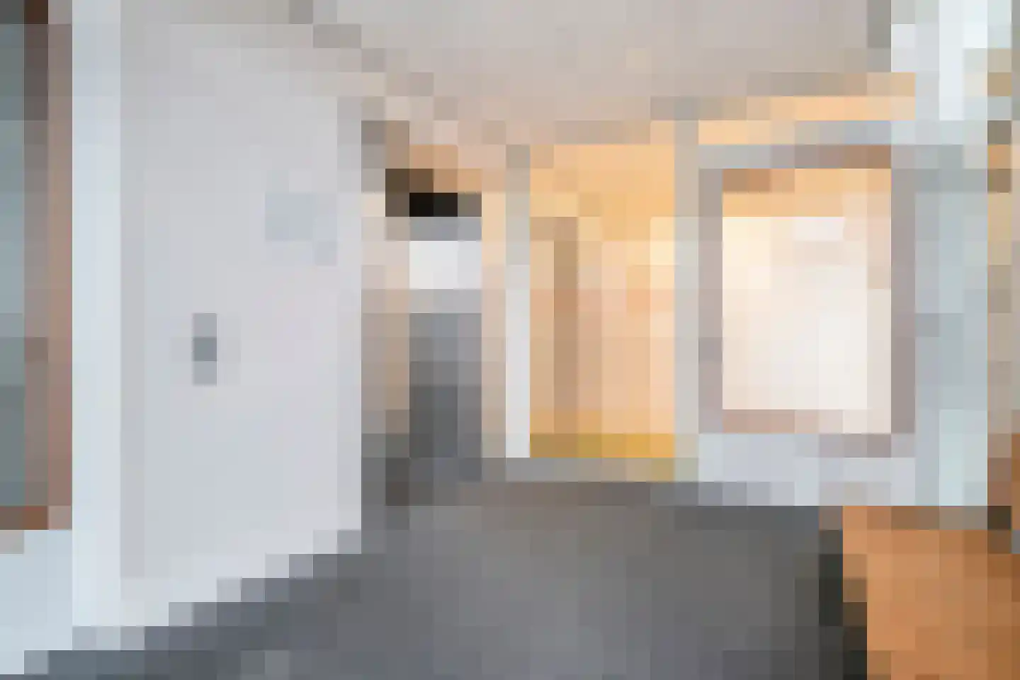 Wilhelminastraat 85 Bergschenhoek thumbnail 6