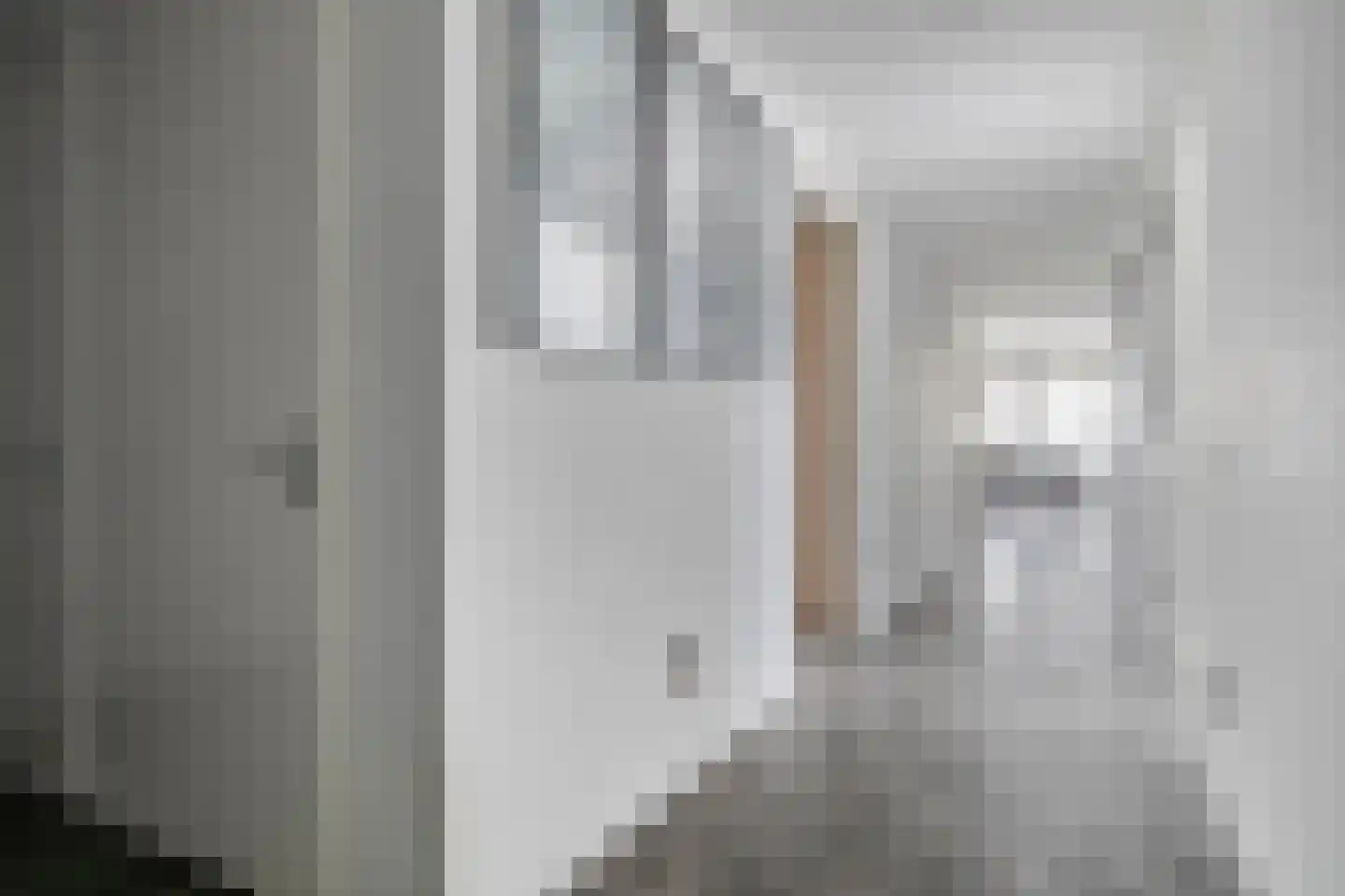 Wilhelminastraat 85 Bergschenhoek thumbnail 9