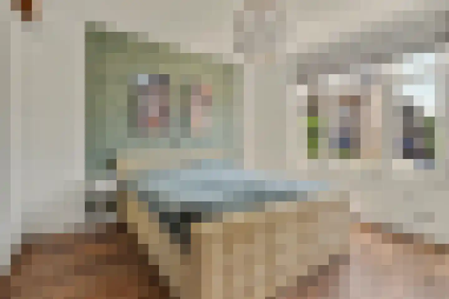 Wilhelminastraat 86 Vlijmen thumbnail 22