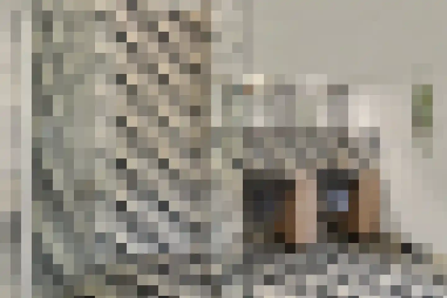 Wilhelminastraat 86 Vlijmen thumbnail 25