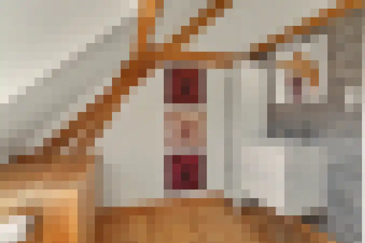 Wilhelminastraat 86 Vlijmen thumbnail 40