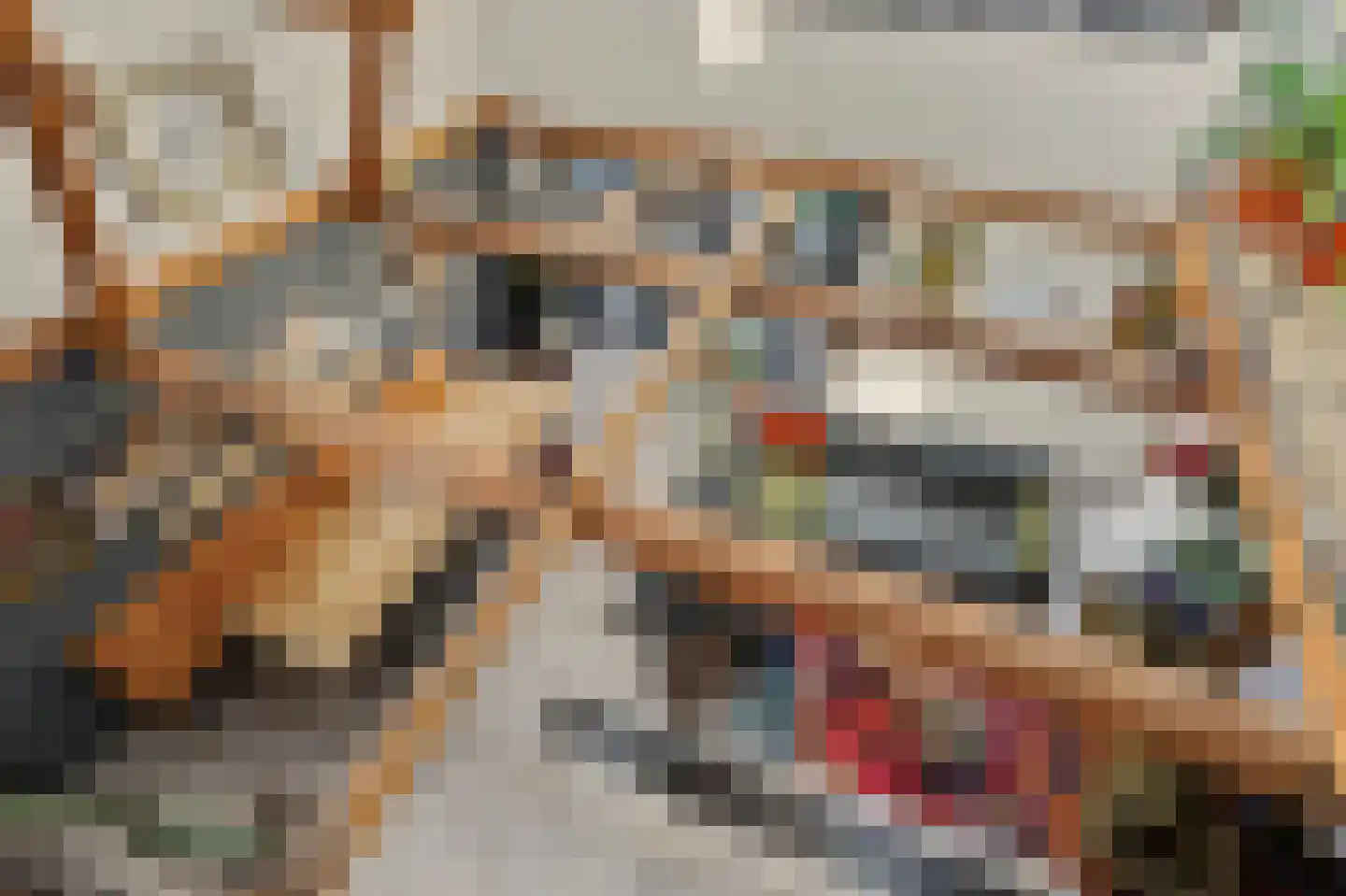 Wilhelminastraat 86 Vlijmen thumbnail 5