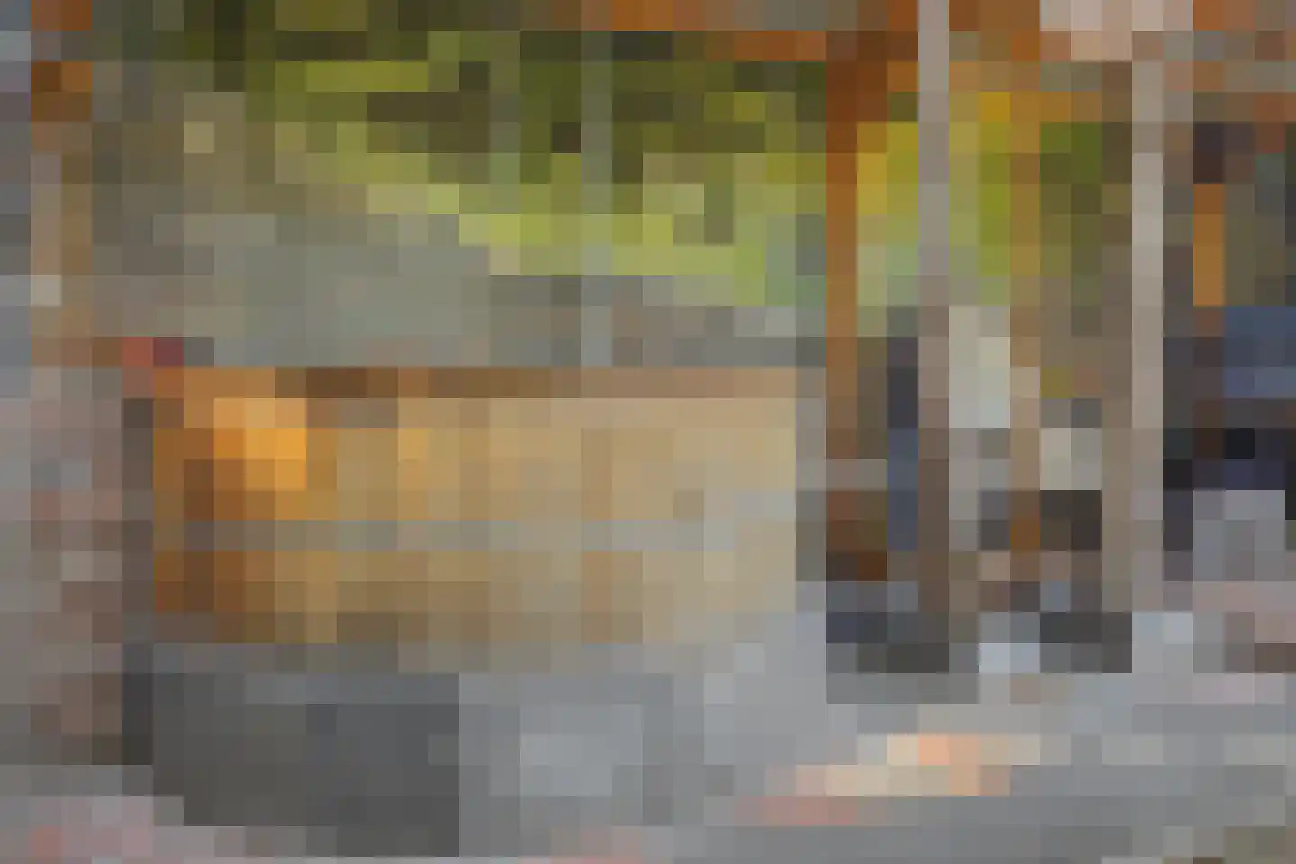 Wilhelminastraat 86 Vlijmen thumbnail 54
