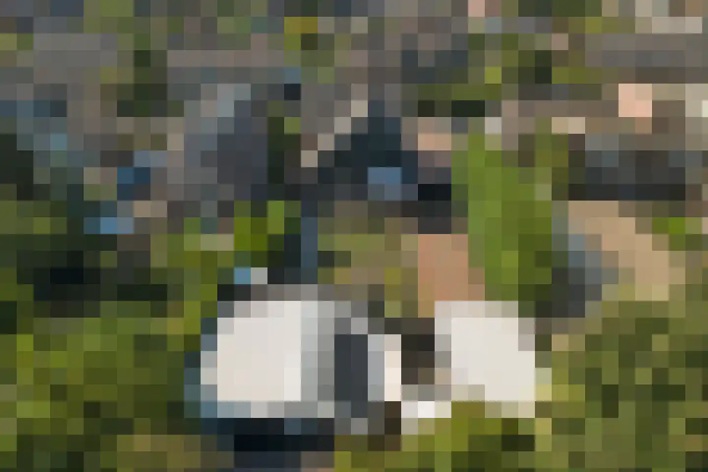 Wilhelminastraat 86 Vlijmen thumbnail 66