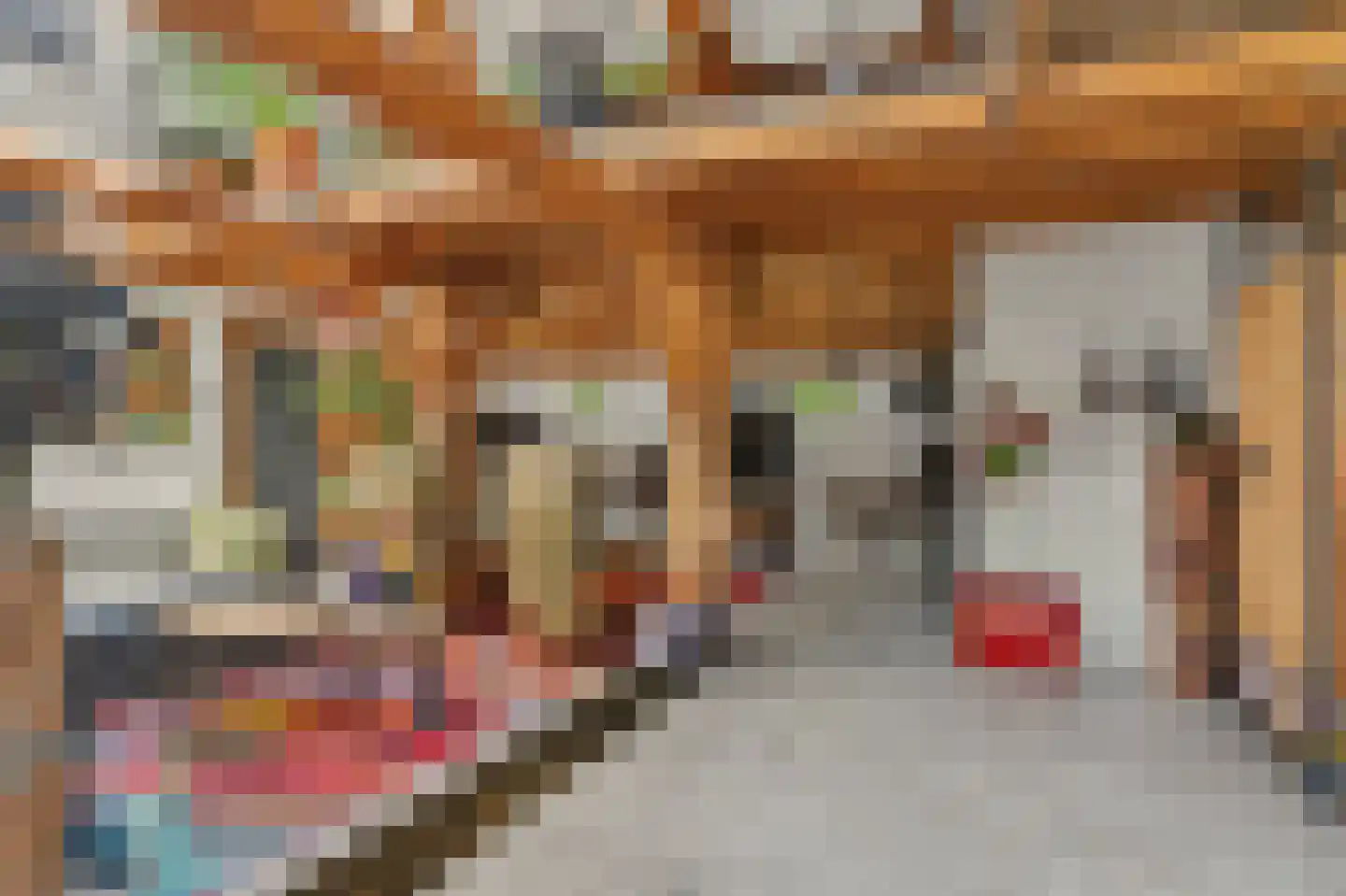 Wilhelminastraat 86 Vlijmen thumbnail 8
