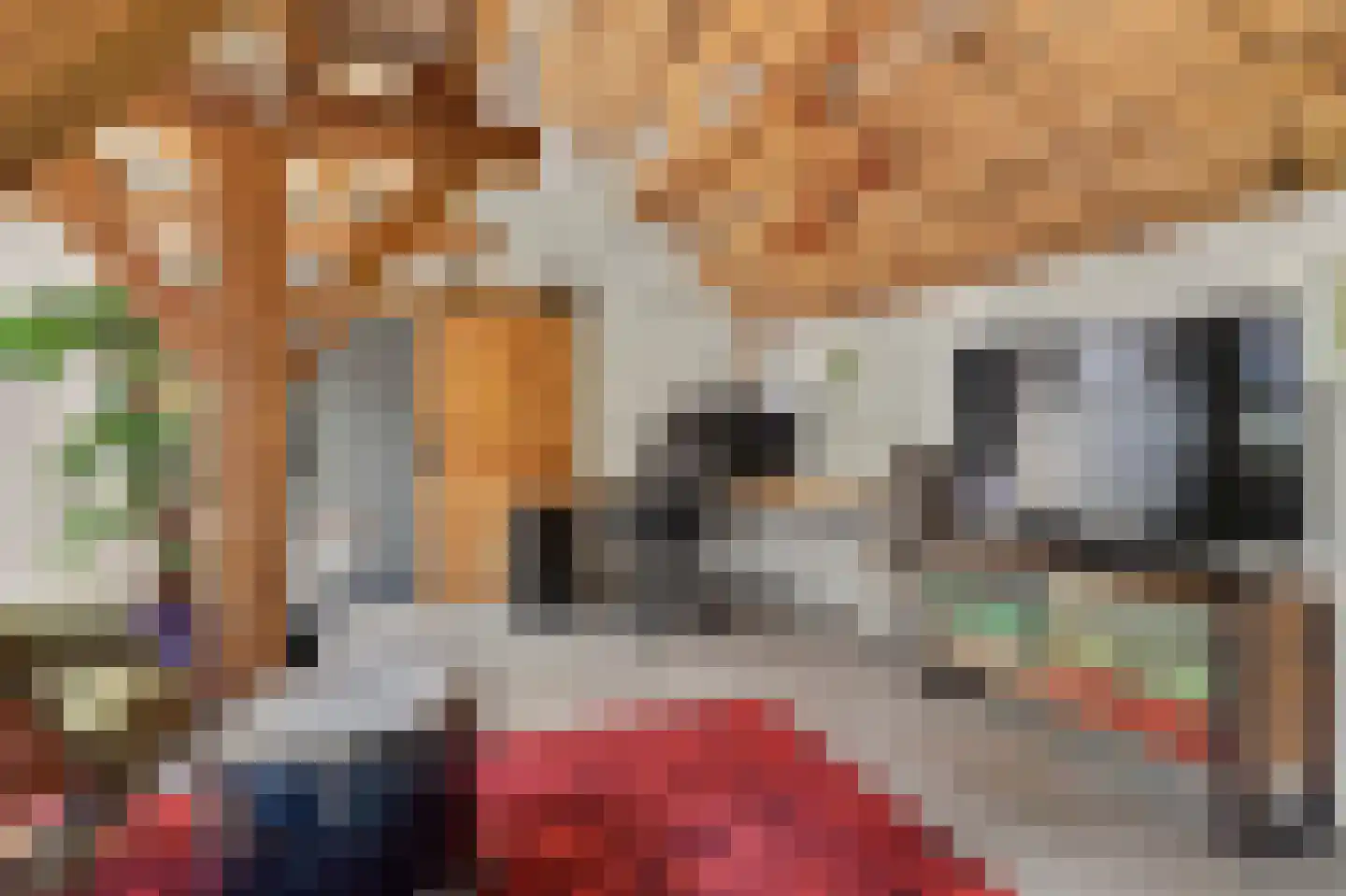 Wilhelminastraat 86 Vlijmen thumbnail 9