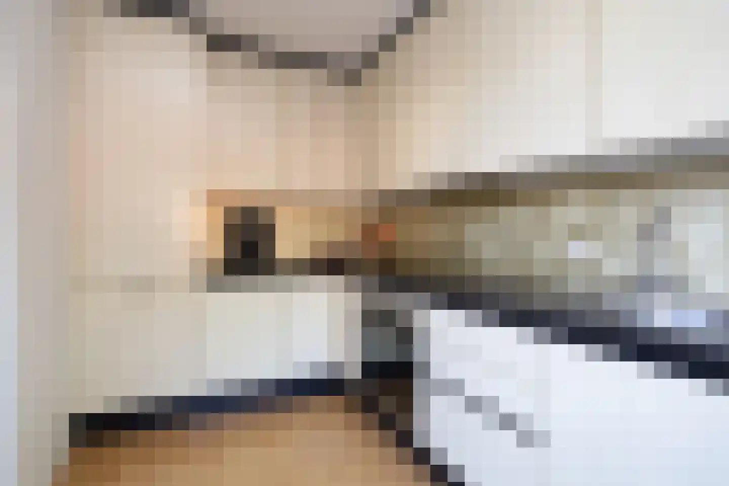Wilhelminastraat 87 Berkel en Rodenrijs thumbnail 18