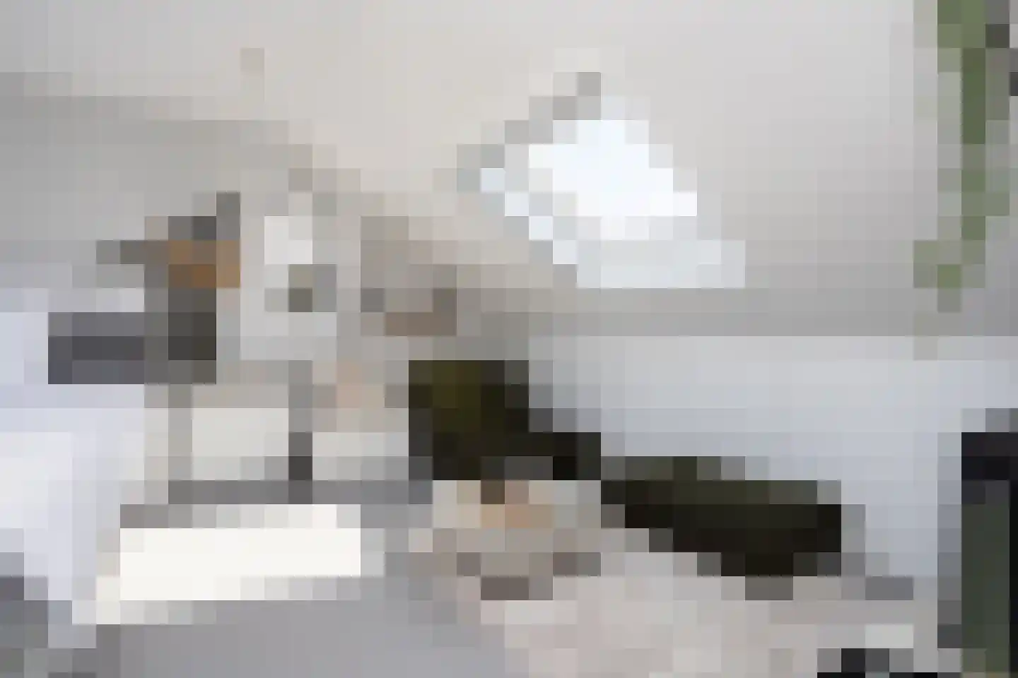 Wilhelminastraat 87 Berkel en Rodenrijs thumbnail 35