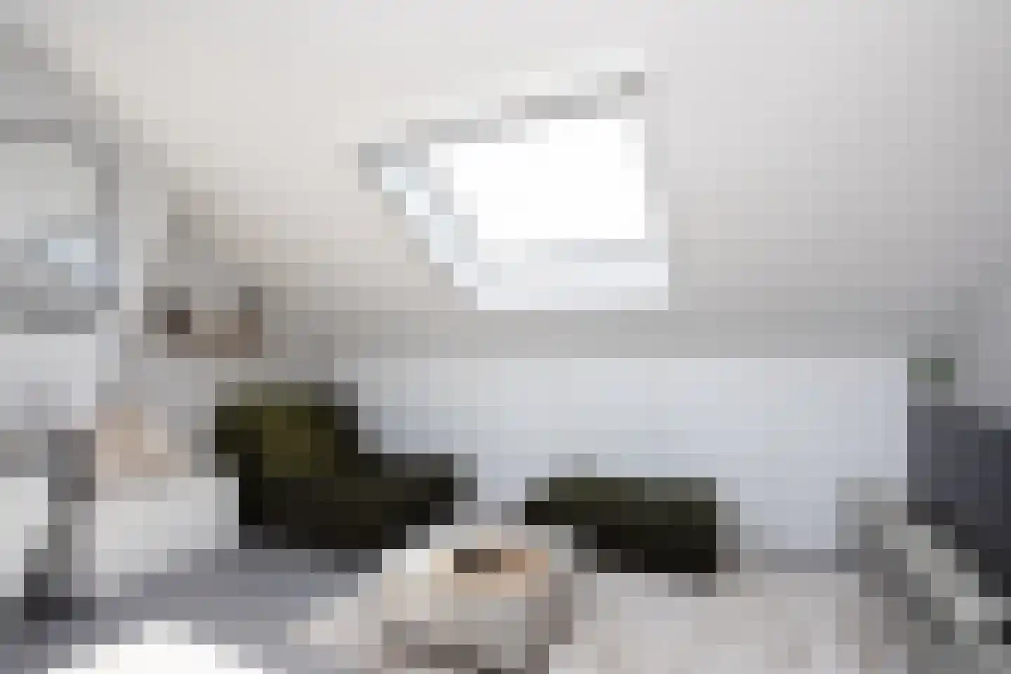 Wilhelminastraat 87 Berkel en Rodenrijs thumbnail 36