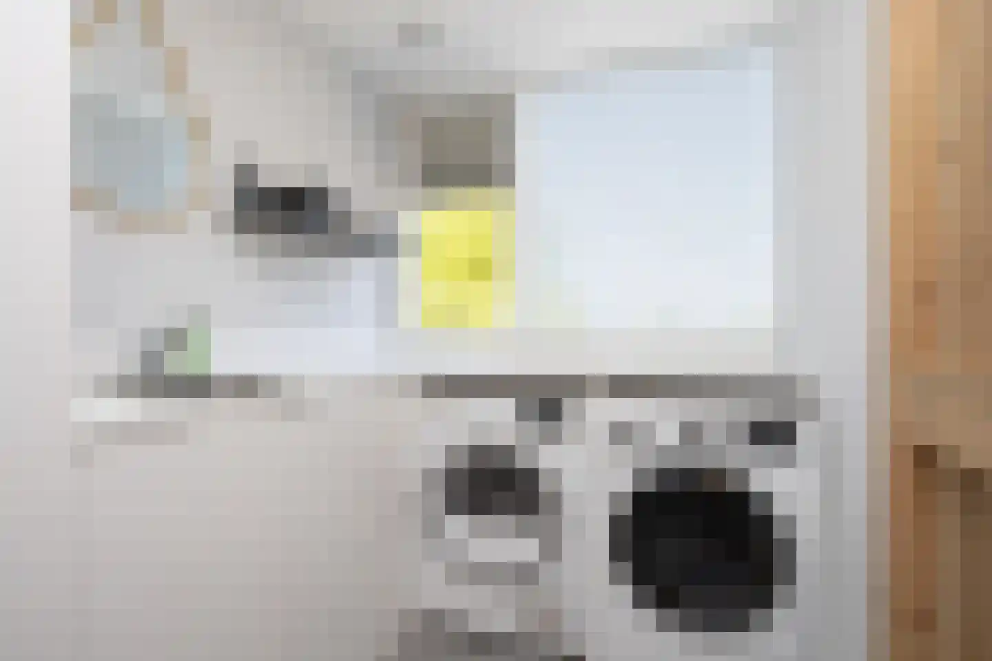 Wilhelminastraat 87 Berkel en Rodenrijs thumbnail 39