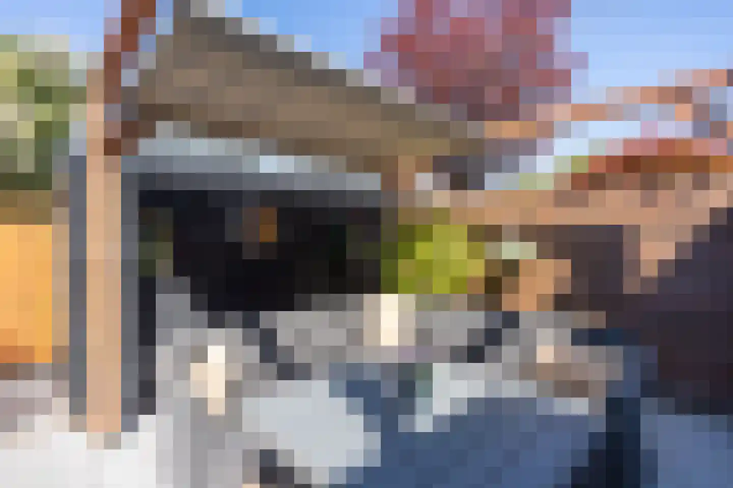 Wilhelminastraat 87 Berkel en Rodenrijs thumbnail 46