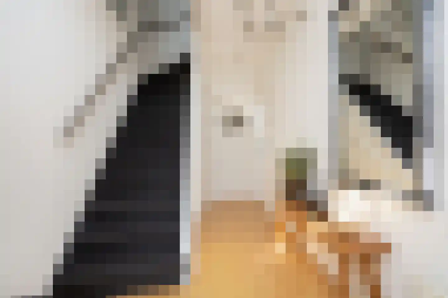 Wilhelminastraat 87 Berkel en Rodenrijs thumbnail 7